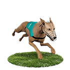 老虎娛樂城娛樂城白金賽狗 老虎娛樂城娛樂城白金賽狗